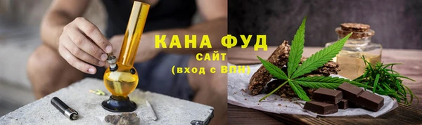 сатива Туринск
