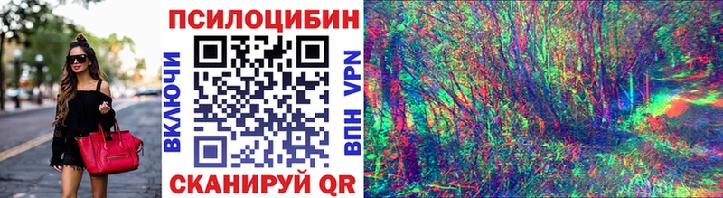 Псилоцибиновые грибы Psilocybe  это наркотические препараты  Кемерово 